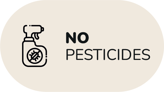 NO PESTICIDES